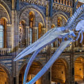 Exploring the Best Museums and Galleries in London
