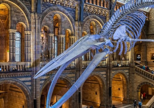 Exploring the Fascinating Museums of London